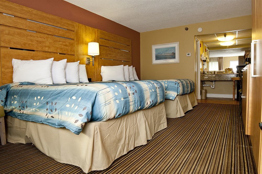 Hotel Desoto Beach 4*